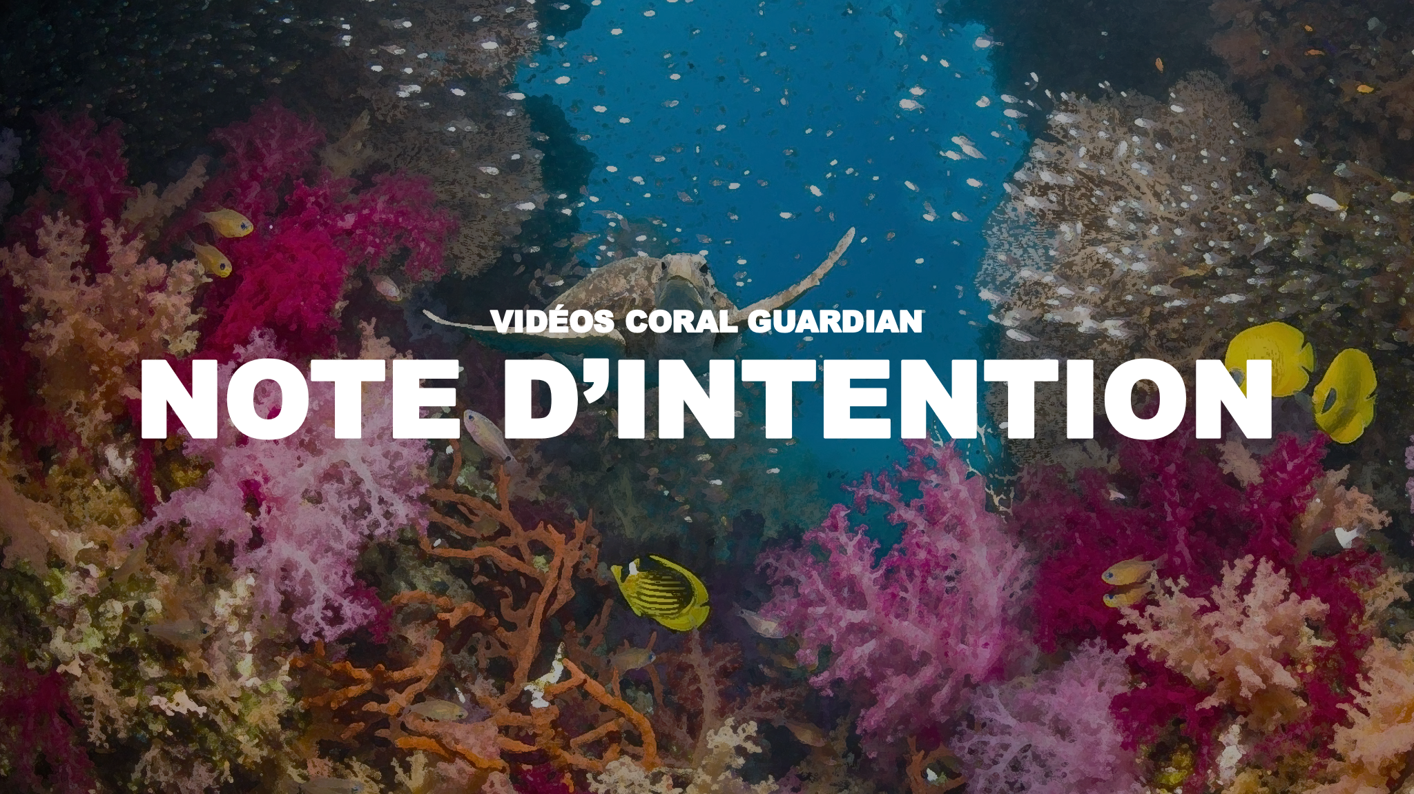 Note d'intention Coral Guardian